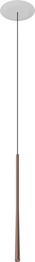 LSERG