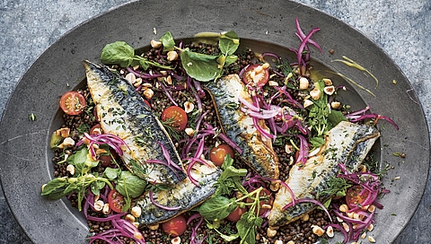 Lentil salad with pan-fried mackerel & hazelnuts