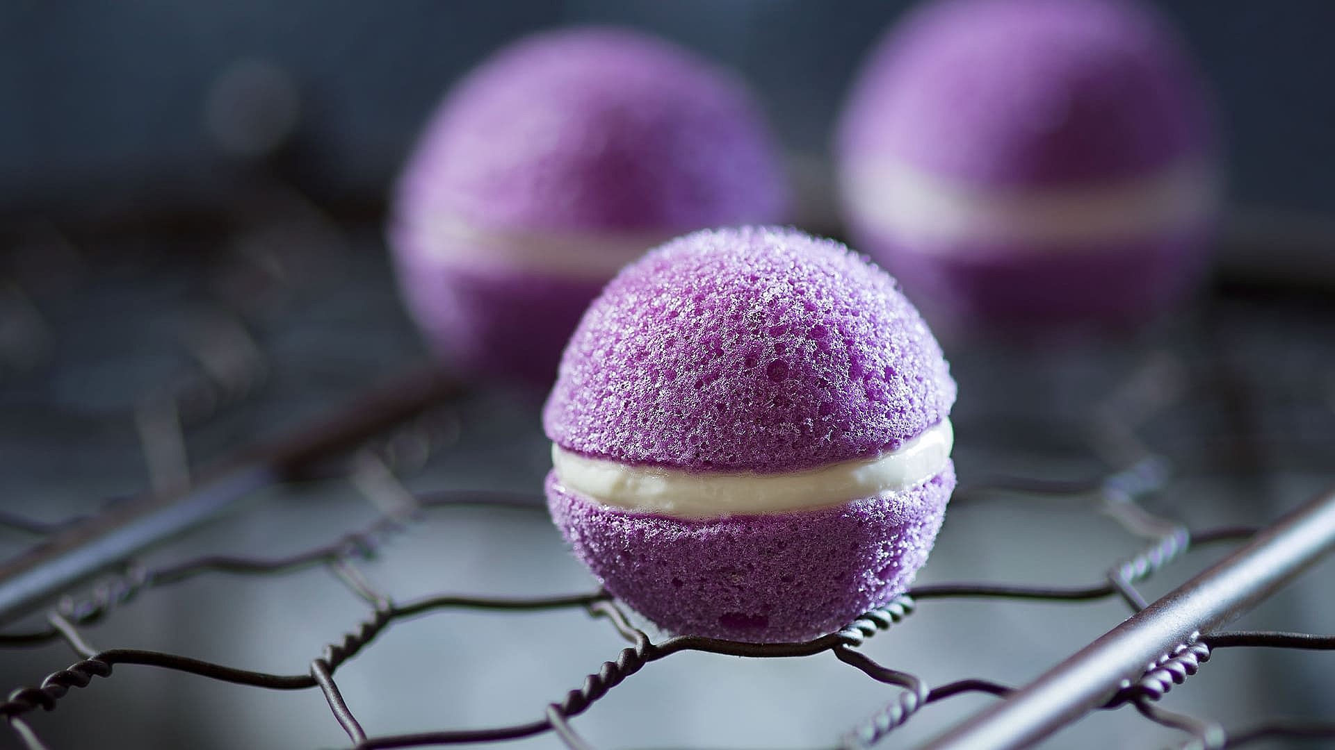 Speinles Rotkohl-Macarons mit Meerrettichfüllung