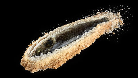Sea bass in salt crust 