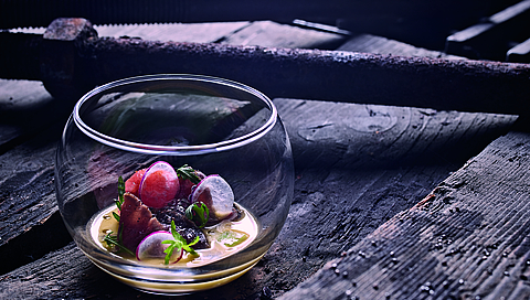 Gazpacho al melone con tonno e pomodori