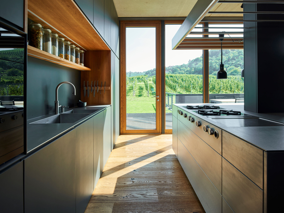 Moderne BORA Küche mit integriertem Kochfeld und Dunstabzug, Holzakzenten und großem Fenster mit Ausblick auf grüne Landschaft.